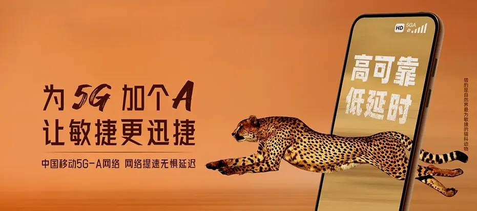 浦城县浦城县枫溪乡 移动宽带